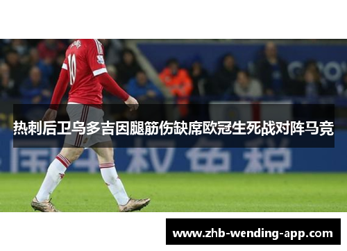 热刺后卫乌多吉因腿筋伤缺席欧冠生死战对阵马竞